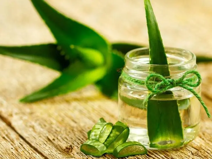 formas de usar aloe vera