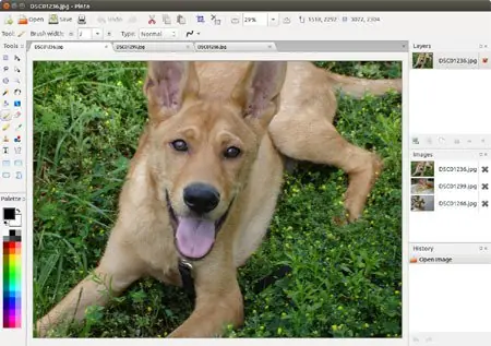 Pinta,Una Alternativa A Paint De Win(LINUX,Windows,Mac,Bsd)