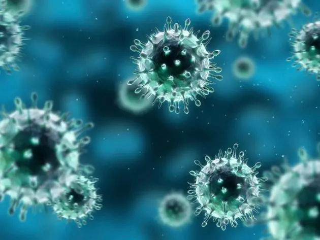 hepatitis