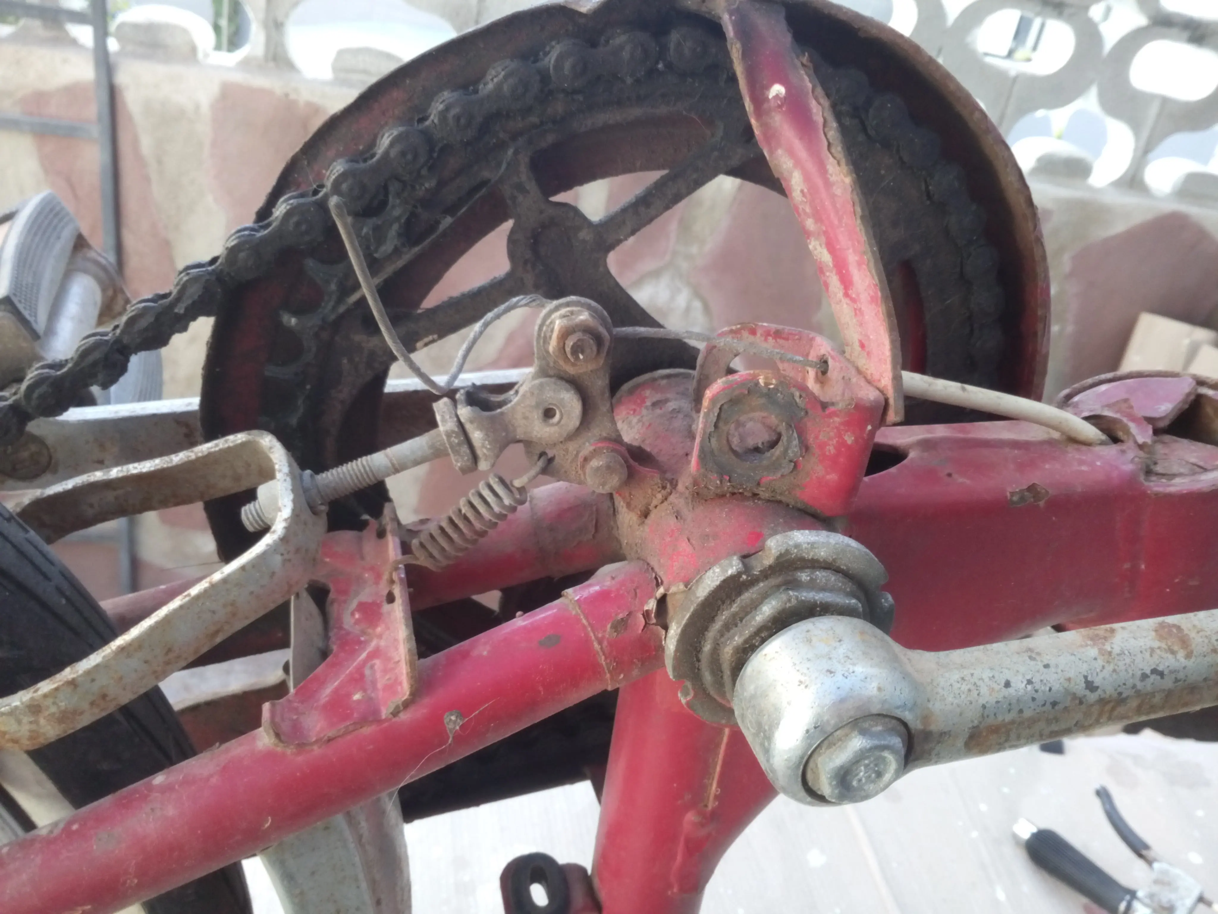 restauracion