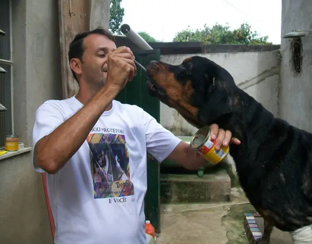 perro