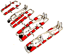 primeros