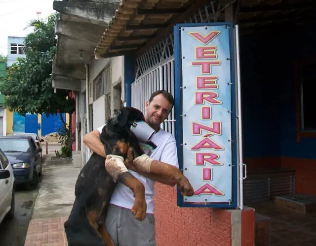 perro