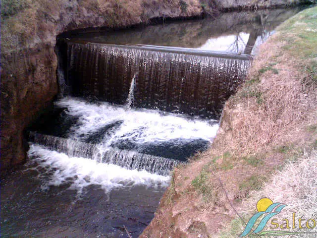 salto