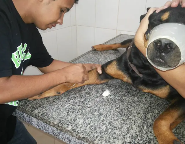 hombr