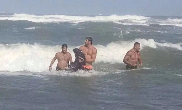 Guardavidas rescataron a un perro en el mar