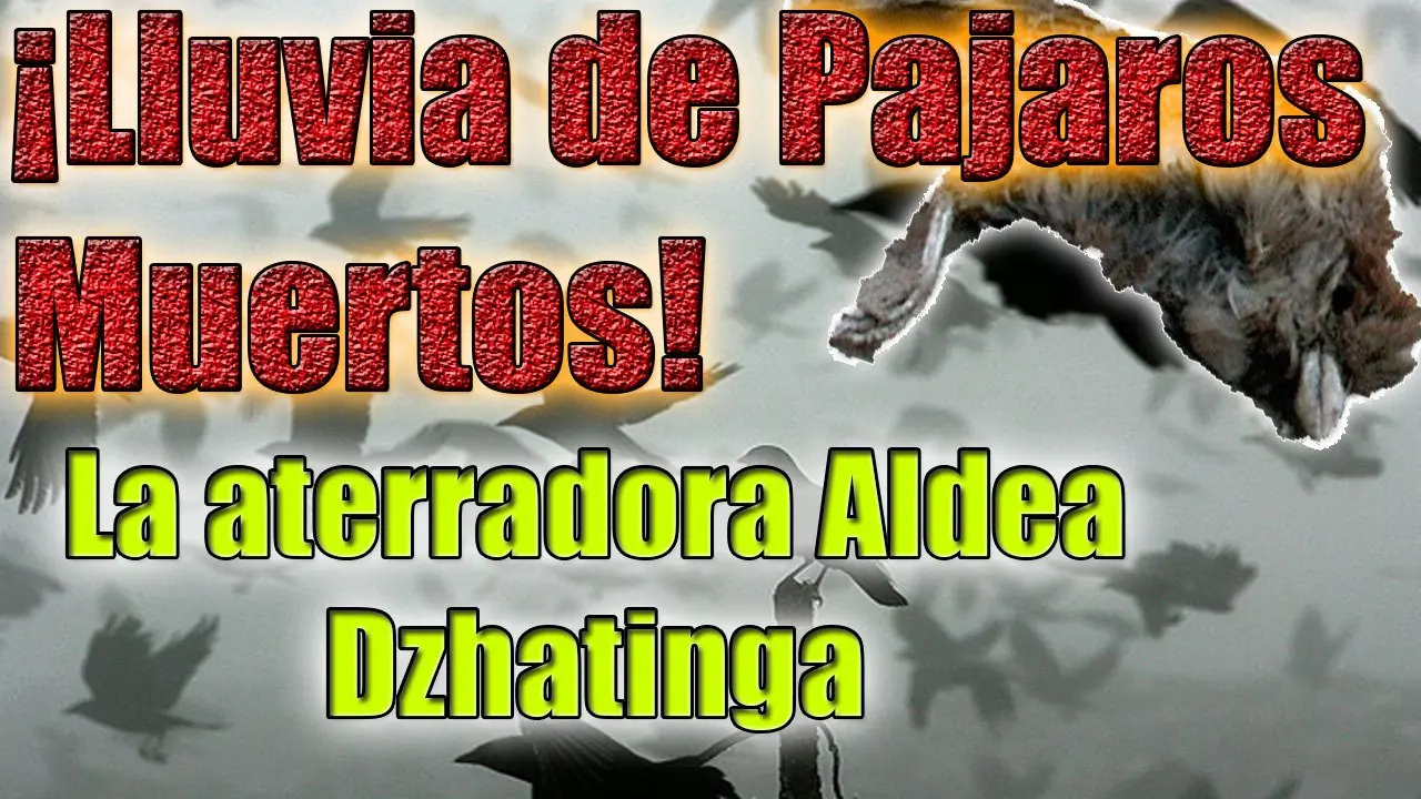 creepypasta creepypasta