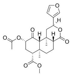 vivencias