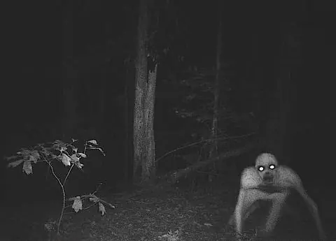 10 CreepyPastas para no dormir