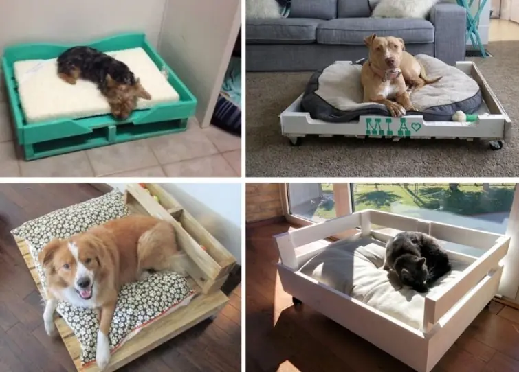 Como hacer una cama para tu perro con un pallet