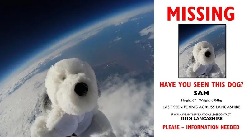 Peluche perdido en el espacio y hay una pequeña recompensa