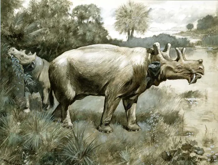 Megafauna Parte 5 El Uintatherium