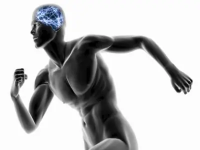 cerebro