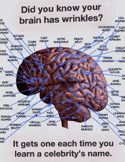 humanos