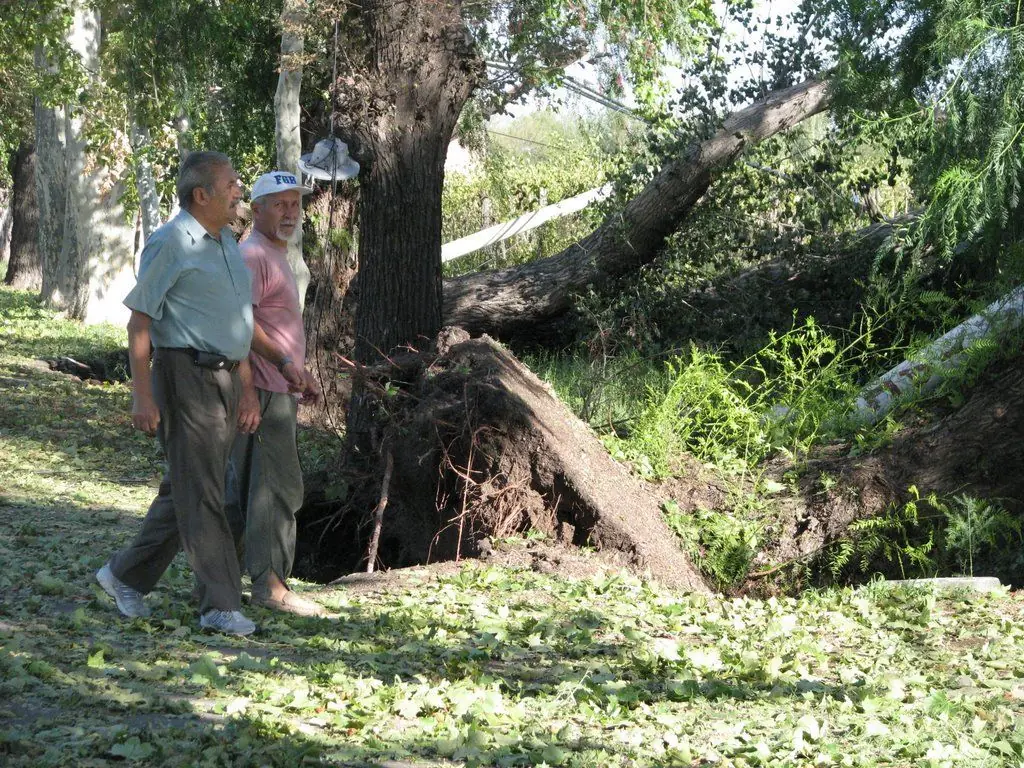 Fuerte tormenta de granizo Mendoza