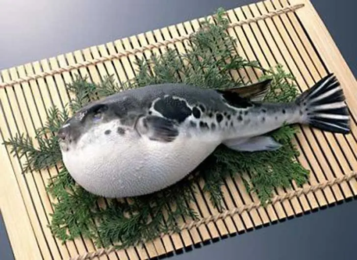 Ocho comidas japonesas (solo para valientes).