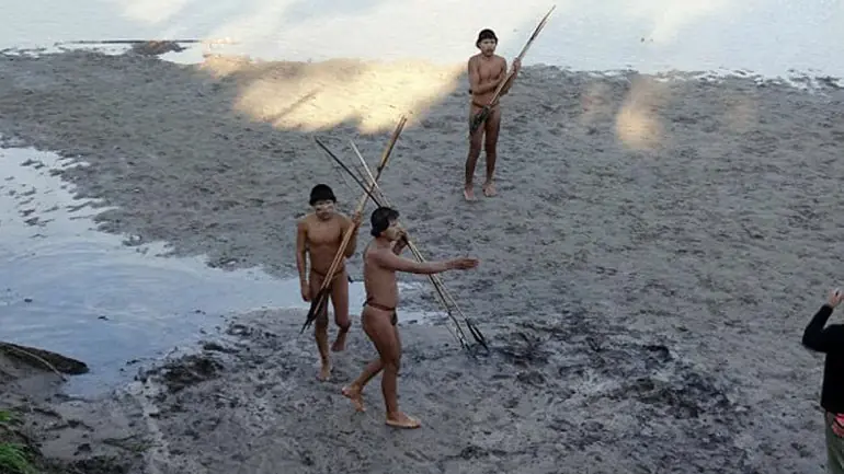 candiru imagenes