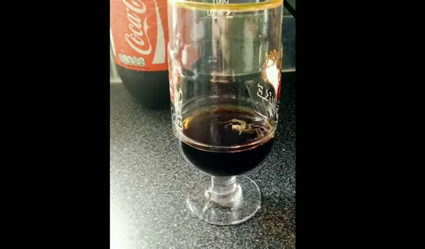 Las cosas más asquerosas encontradas en una Coca Cola