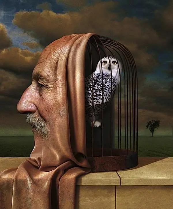 ilustraciones