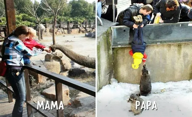 Diferencias Diferencias