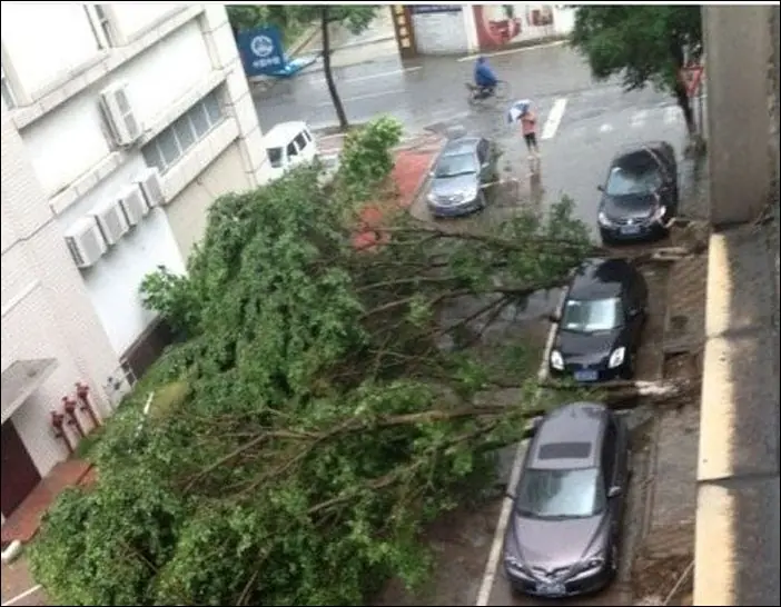 imagenes