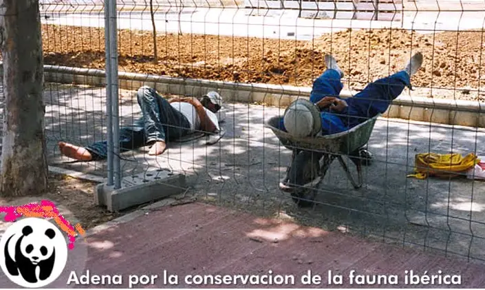 cultura