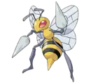 insecto