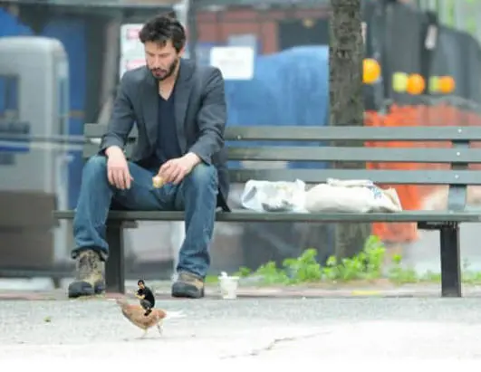 Foto de Keanu Reeves se volvió Meme