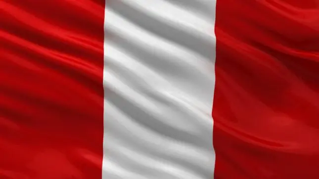 Descubrí el significado de tu bandera [América del Sur]