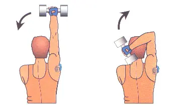 ¿No Gym? Te Doy Una Rutina Para Entrenar En Tu Casa