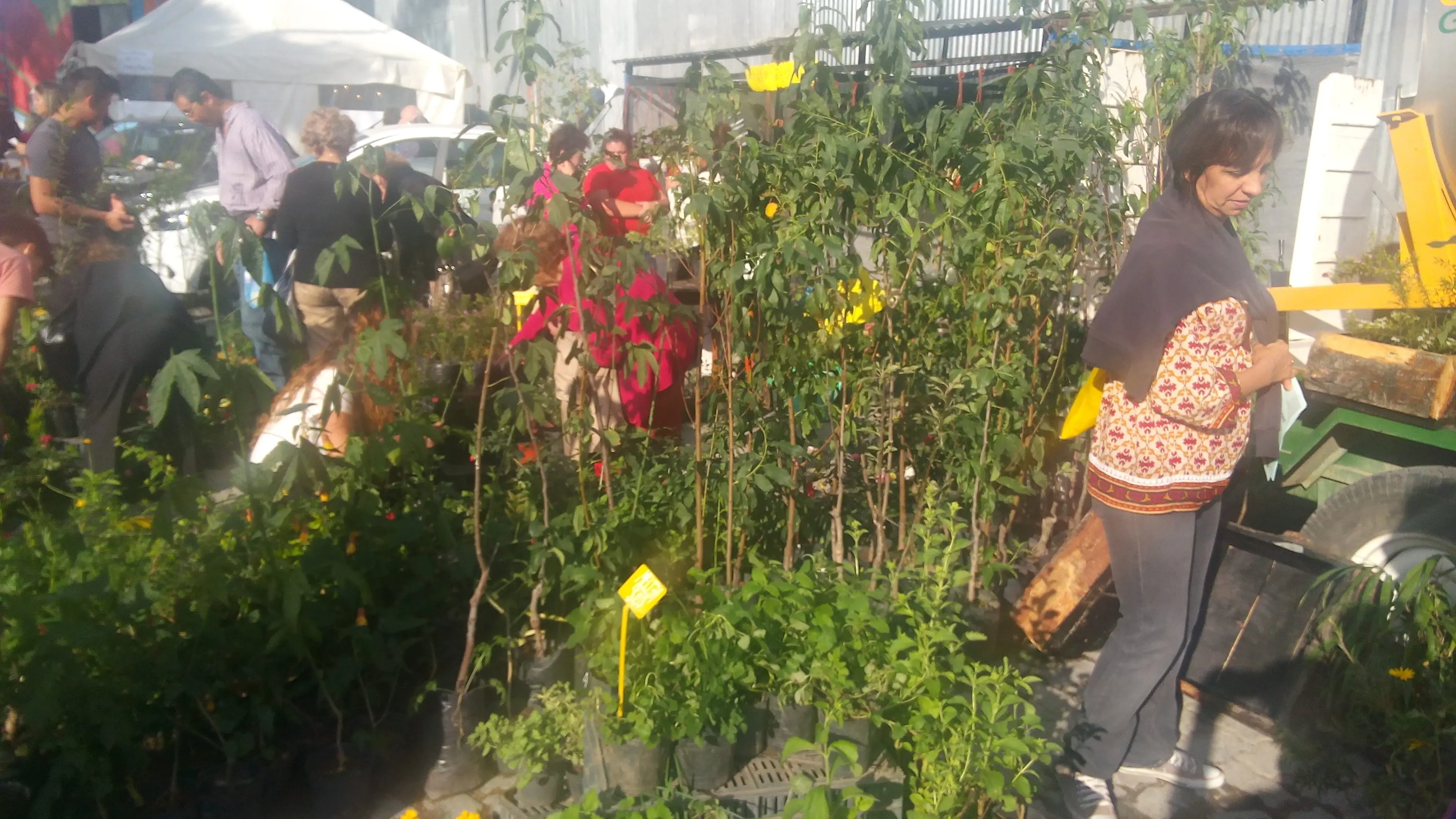 Feria agropecuaria de Gaiman