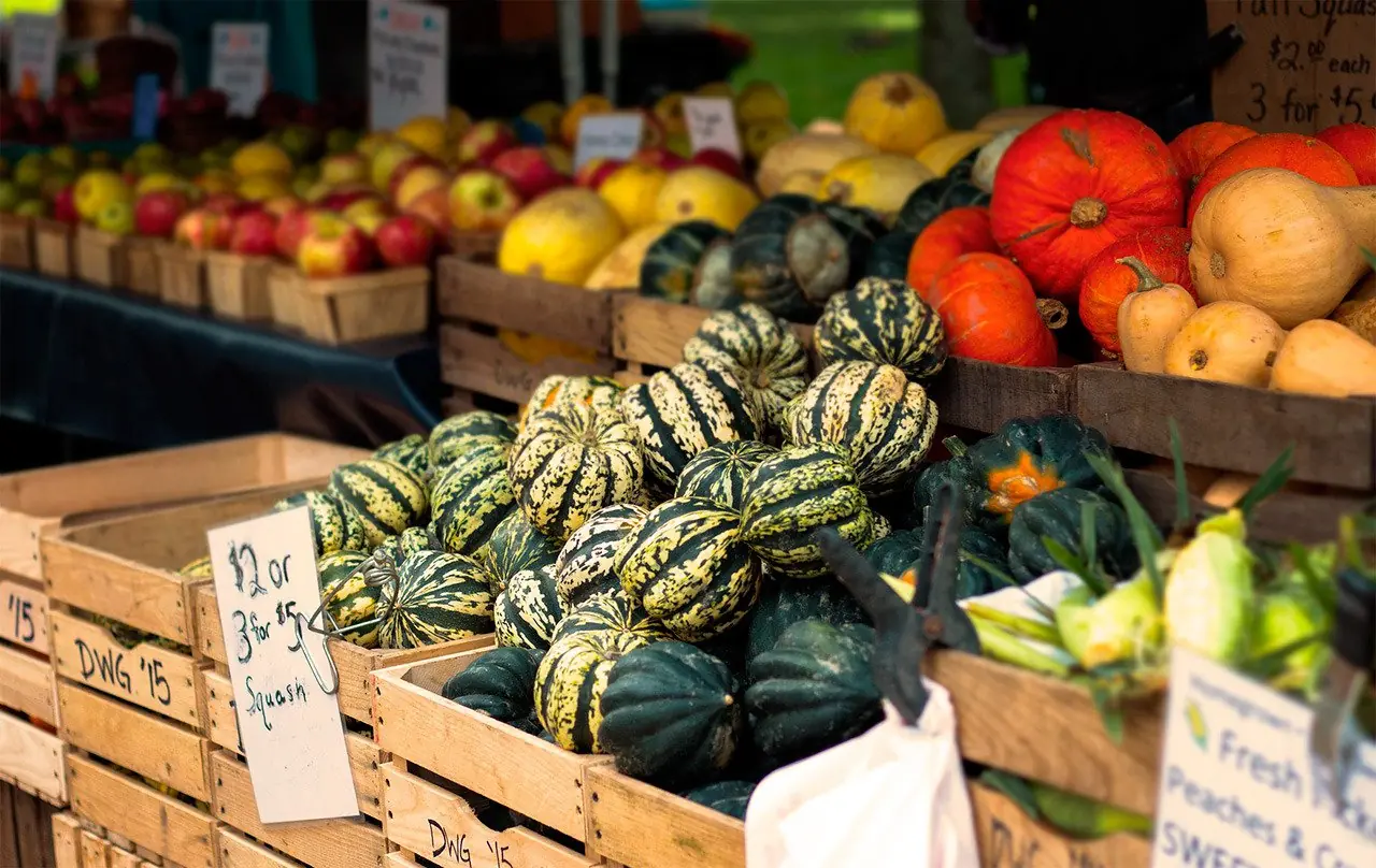 Alimentos orgánicos,tendencia mundial que crece y se afianza