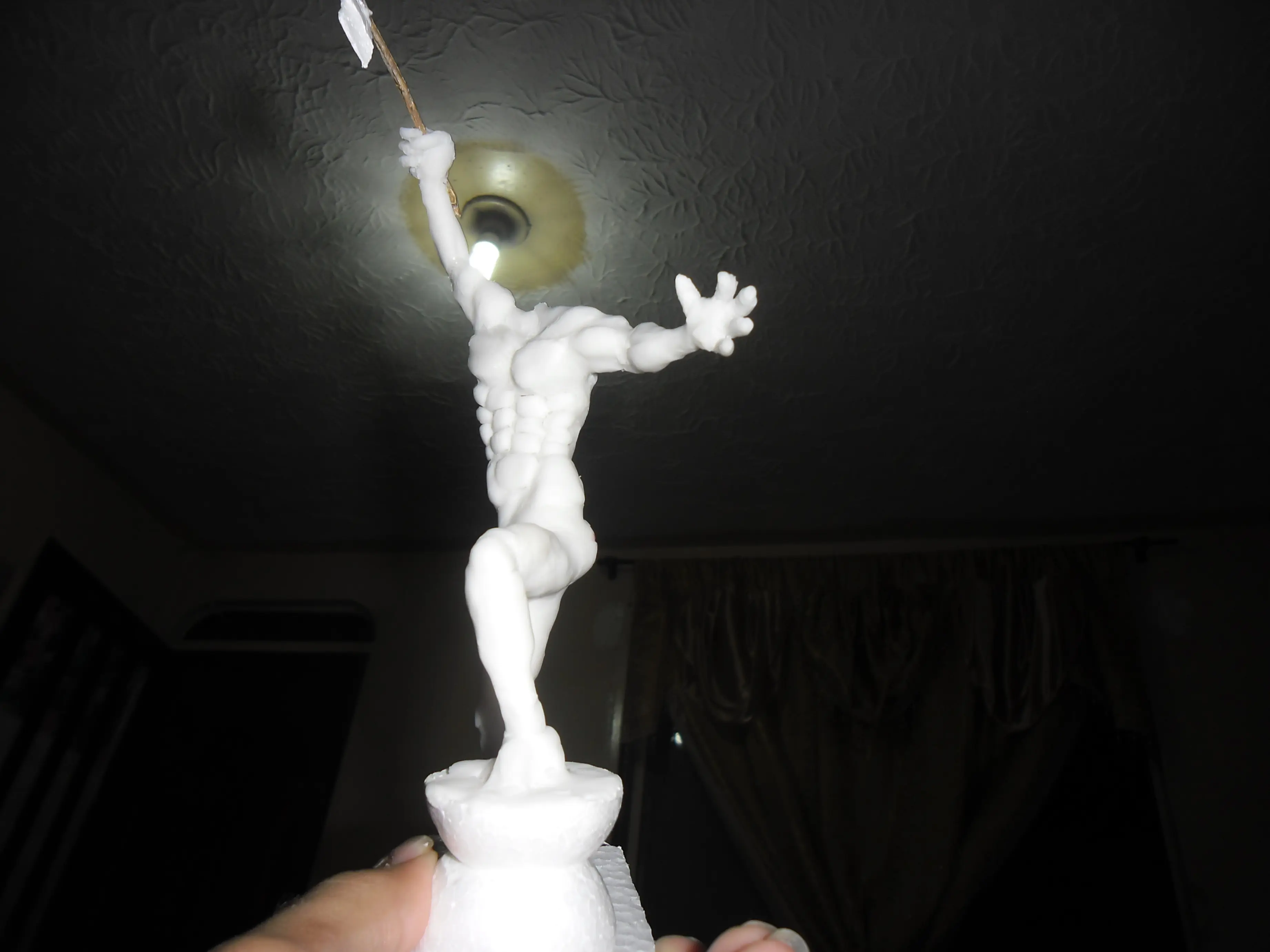 porcelanicron