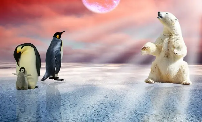 clima clima