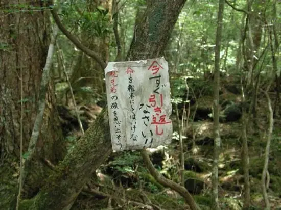 monte fiji
