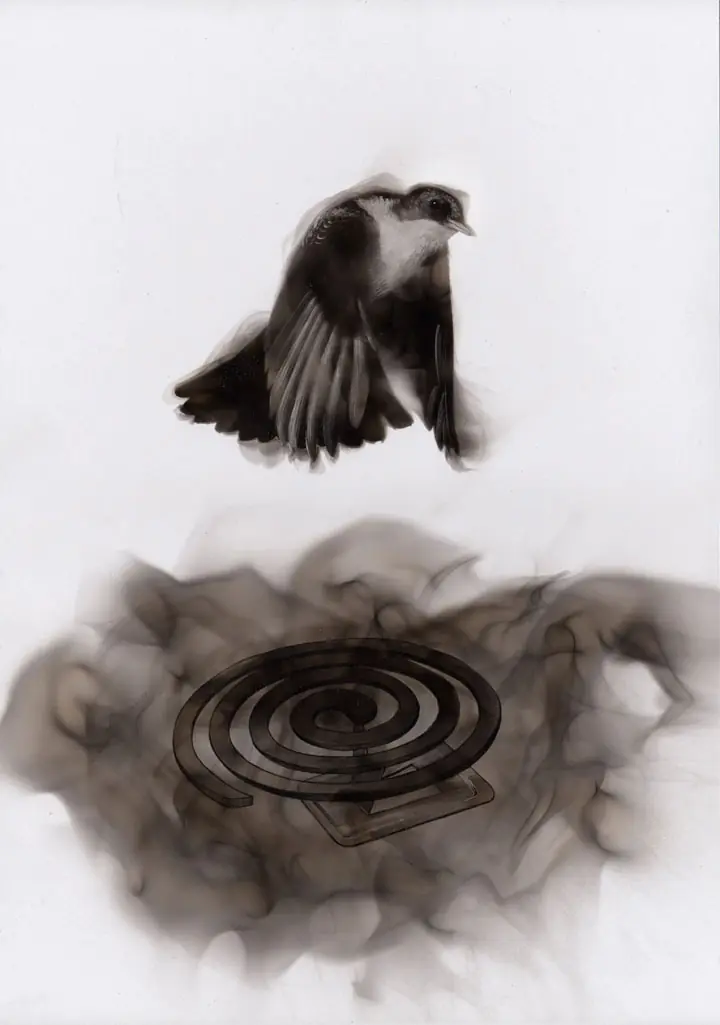 dibujo con fuego