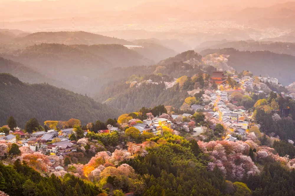 japones