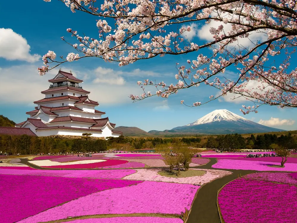 12 Mágicas fotos de sakura en flor