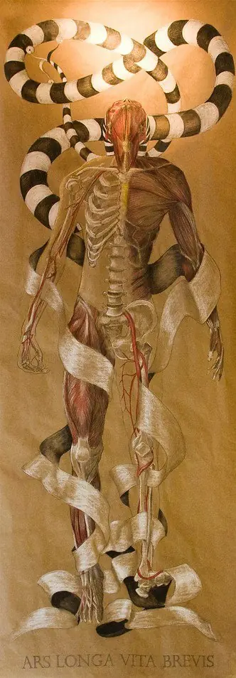 La fantástica ilustración de Keldar Leement