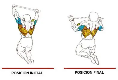 forma