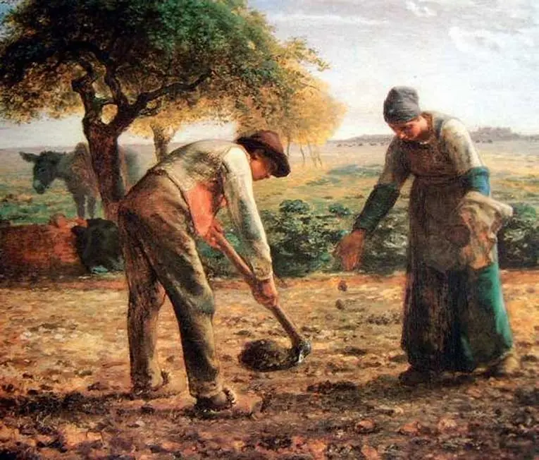 Organicos
