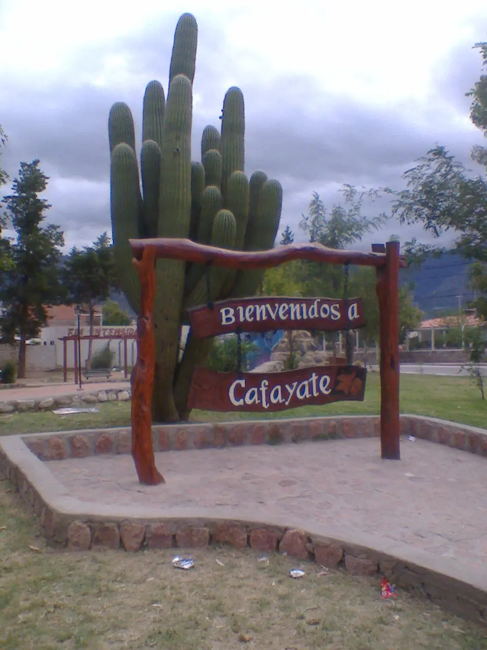 vinos