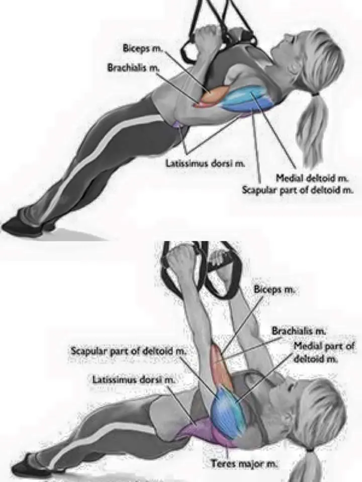 entrenar