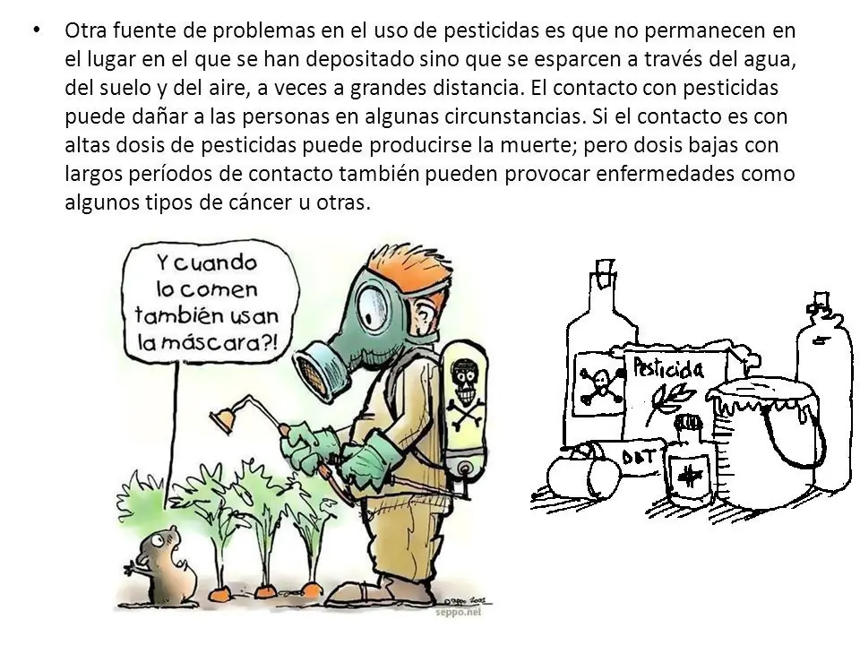 Alimentos orgánicos,tendencia mundial que crece y se afianza