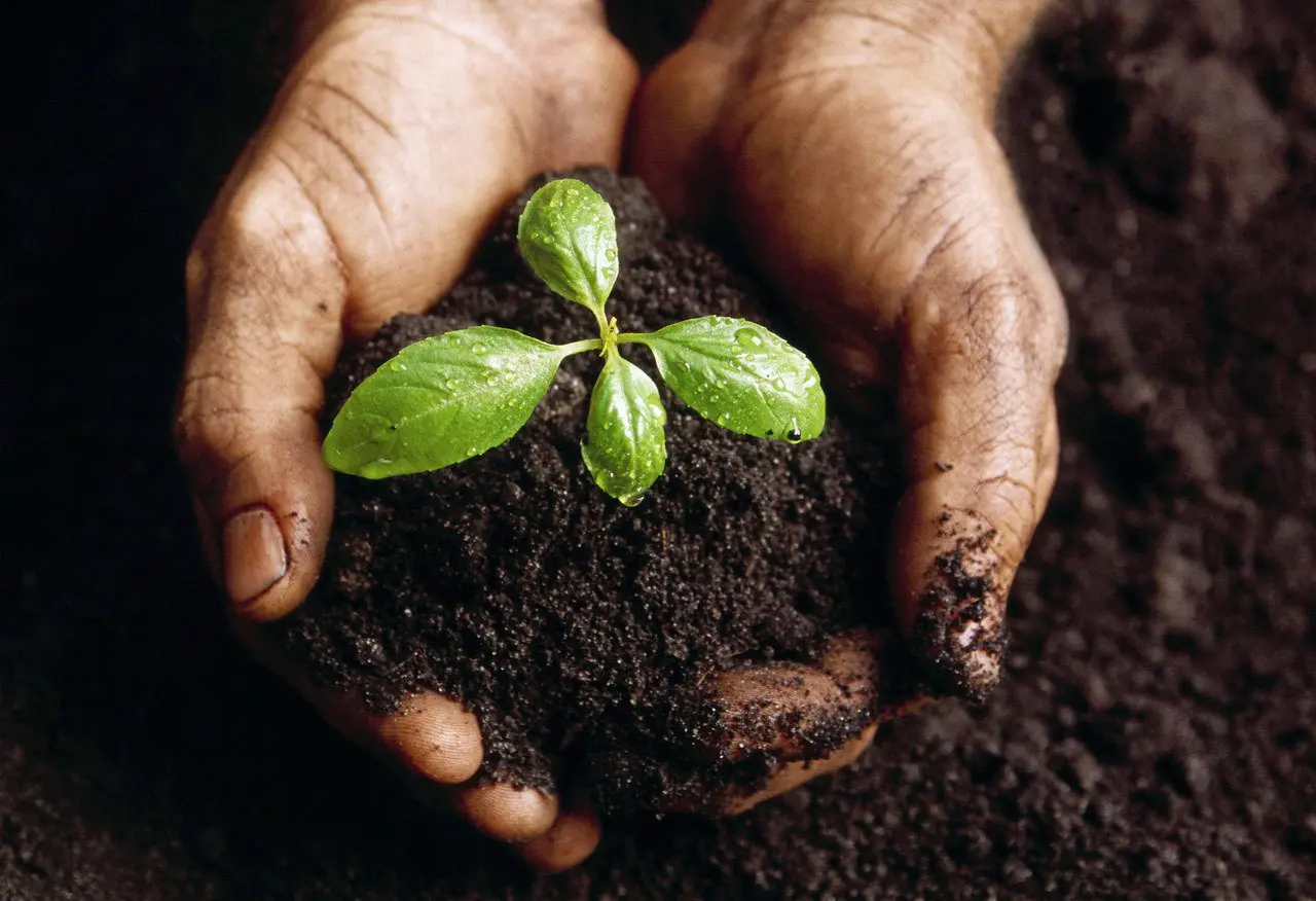 agricultura