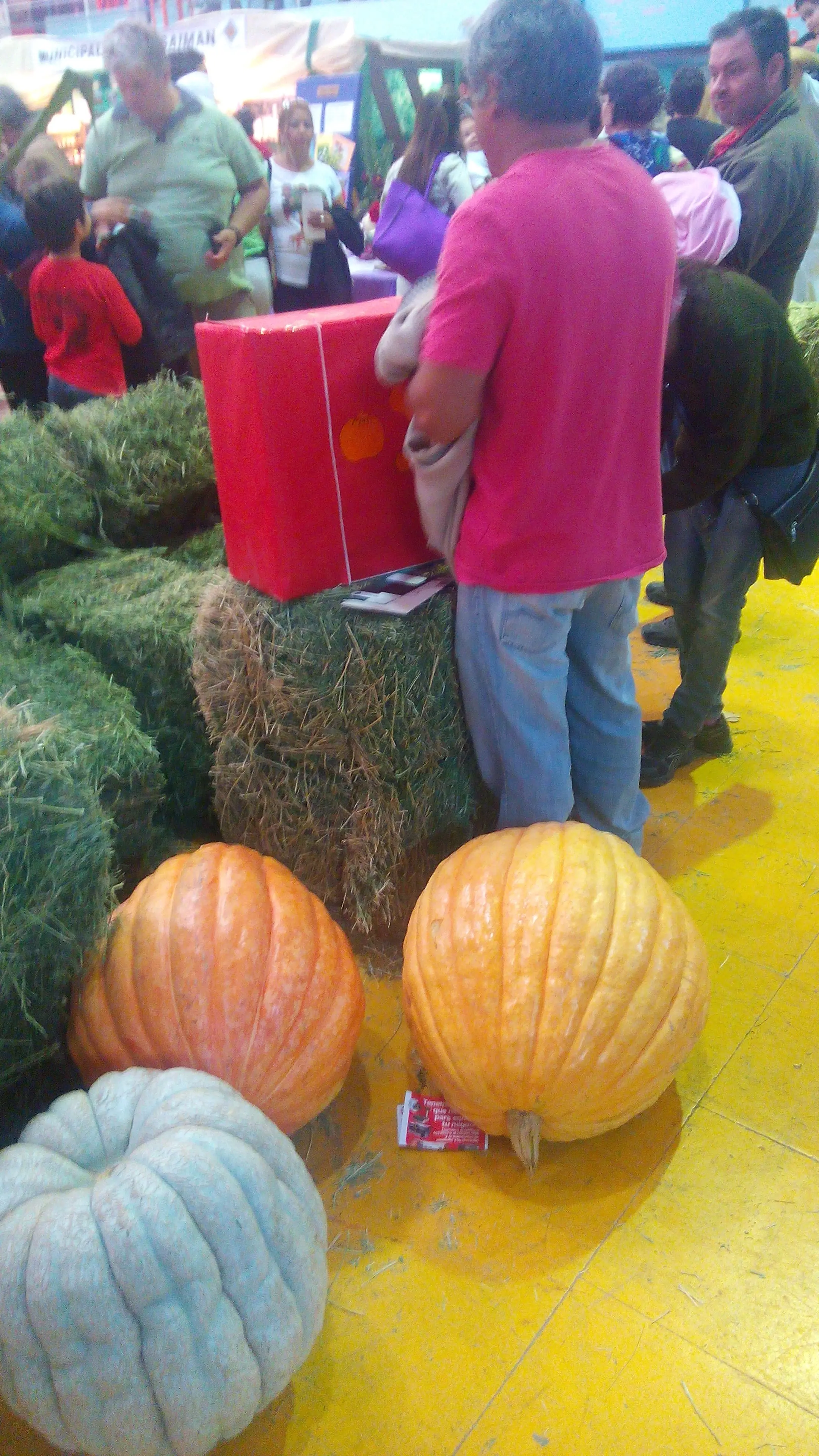 Feria agropecuaria de Gaiman