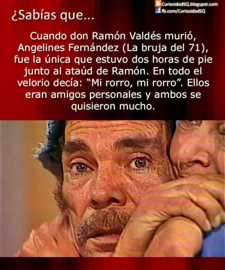 chavo del 8