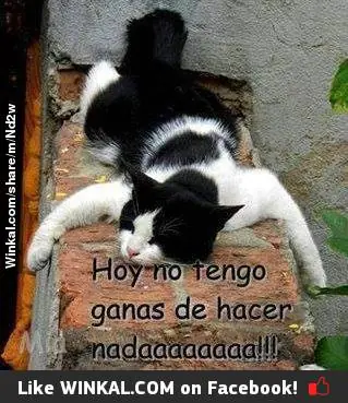 cansado
