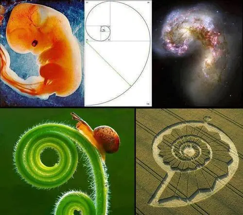 anunnaki