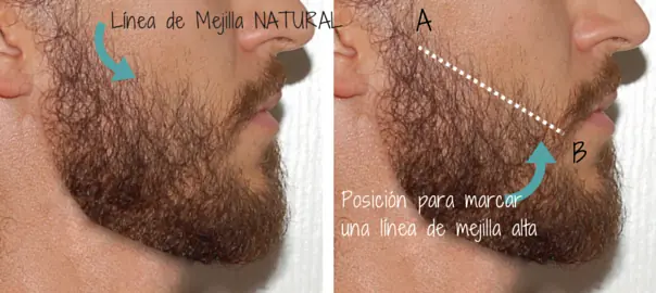 barba hipster